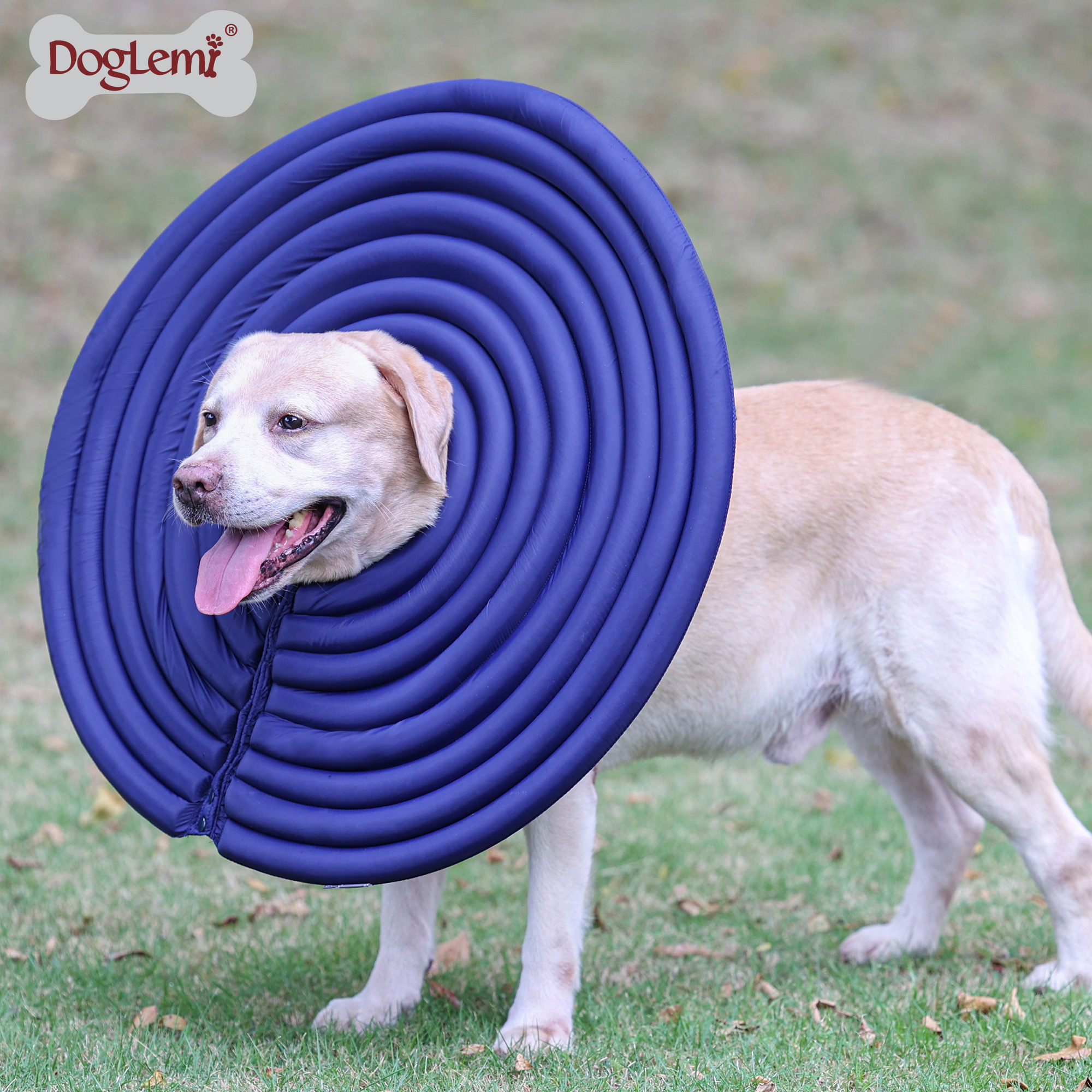 สีน้ำเงินเข้ม