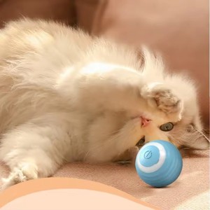 Smart Rechargeable Electric <strong>Catnip</strong> Ball Toy Durable Wood Interactive Pet Toy With Automatic Gravity <strong>Rolling</strong> for <strong>Cats</strong> and Dogs - Product Image 4