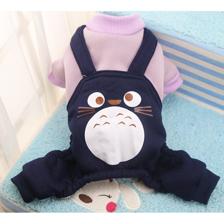 Totoro en harnais violet
