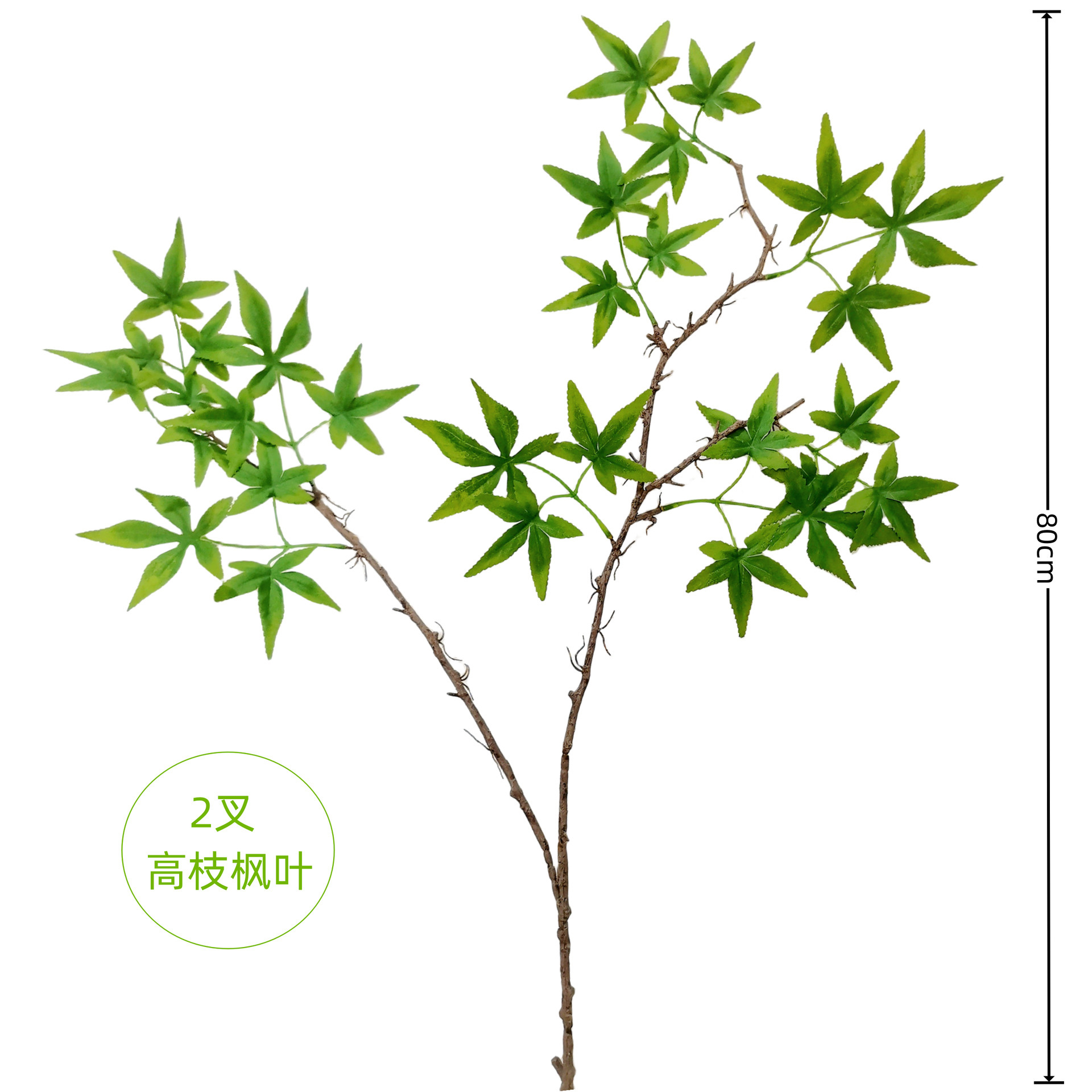 Feuilles d'érable à deux branches, vertes