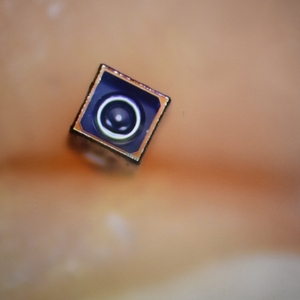 Erster fester Fokus 0,16 MP OVM6946 Sensor Scope Fov120 Grad 2mm Endoskop-Kamera modul