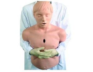 Intubation Manikin Hospital Advanced <strong>Human</strong> Trachea Intubation Model - Product Image 5