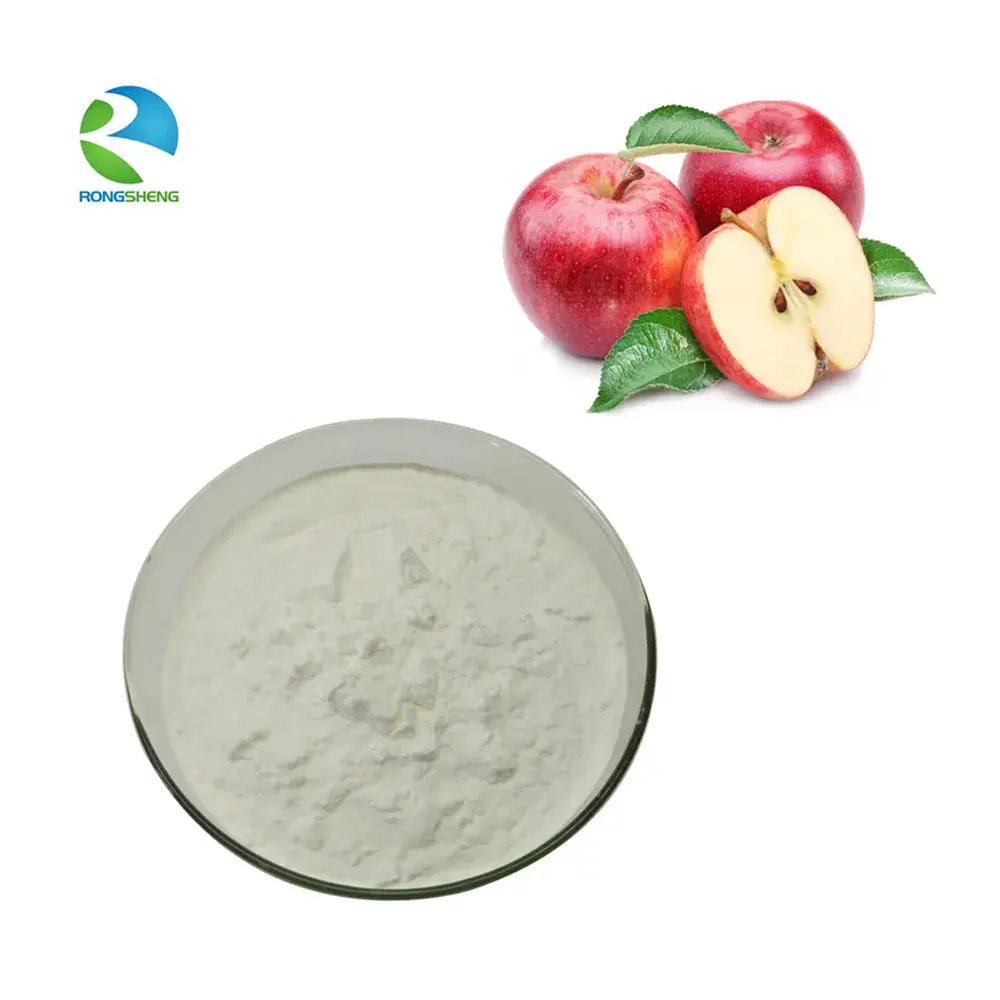 RongSheng Supply Good Price Organic 5% 8% 10% Apple Cider Vinegar Fruit Powder