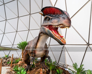 Kawah Dinosaur Park Project <span class=keywords><strong>Introduction</strong></span>スロバキアDinoparkTatryショーケース