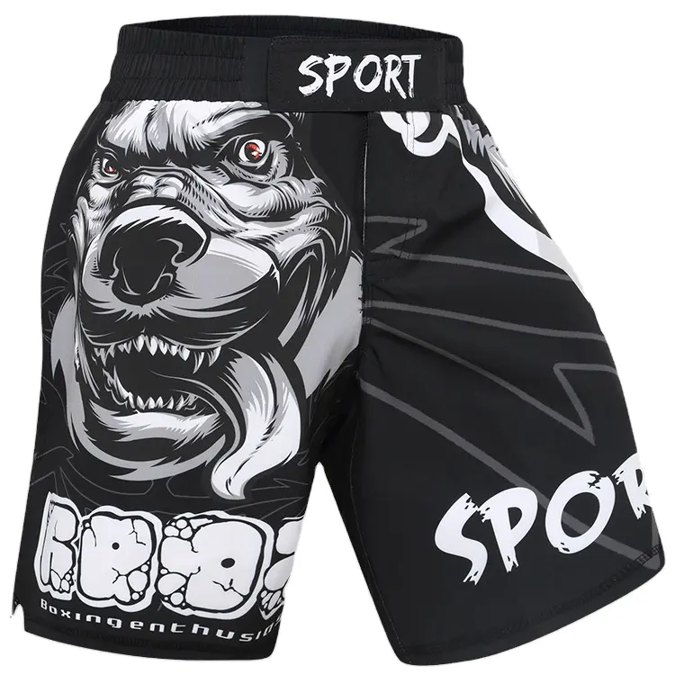 Shorts pour hommes Fabricant de gros Kimono de jiu-jitsu brésilien Uniforme de taekwondo Shorts MMA pour hommes Shorts d'entraînement sportif les plus récents