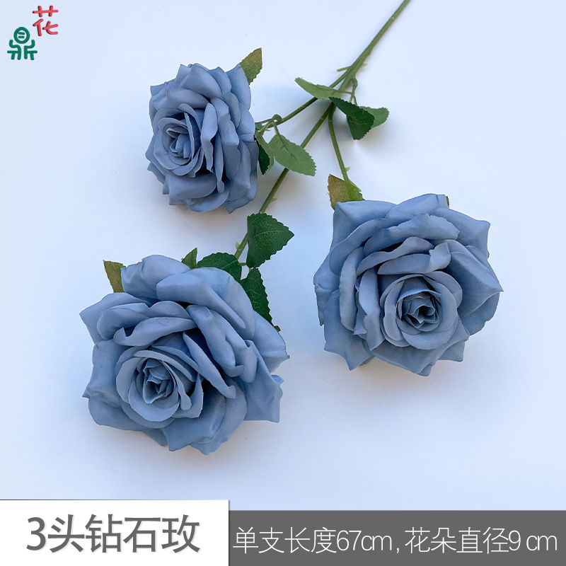 Rose Diamant 3 têtes HYD Haze Bleu