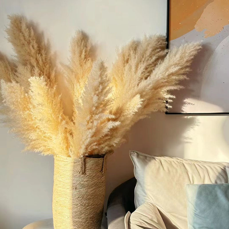 Bolsa de flores secas-pampas con una altura de 1 metro