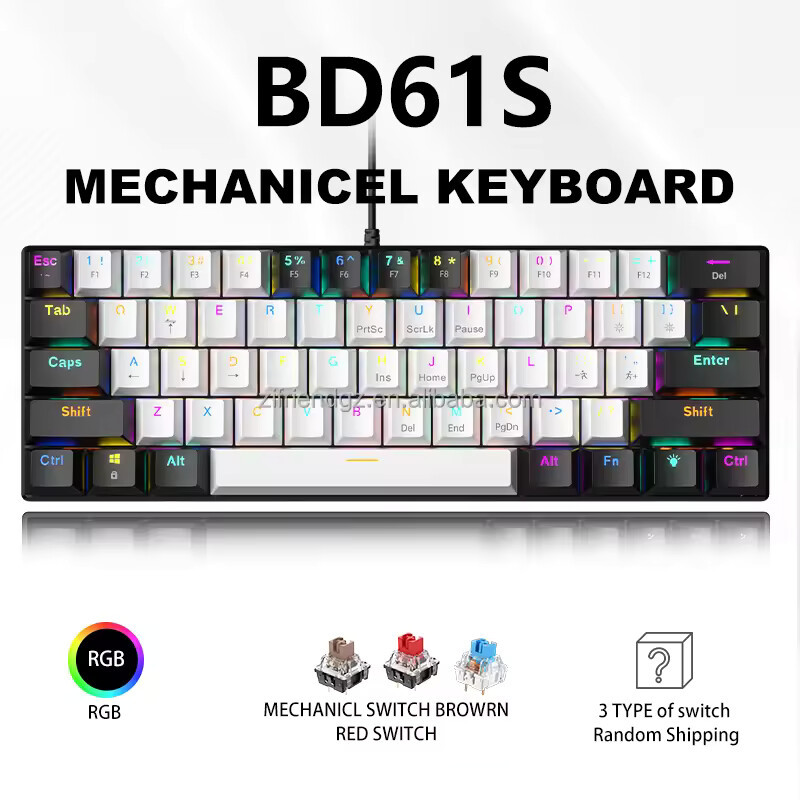 BD61S-White+Black-RGB Light