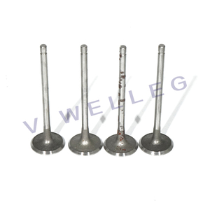 Peugeot 9636298080/Citroen/Fiat için araba otomobil parçaları emme valfi 307 - Product Image 2