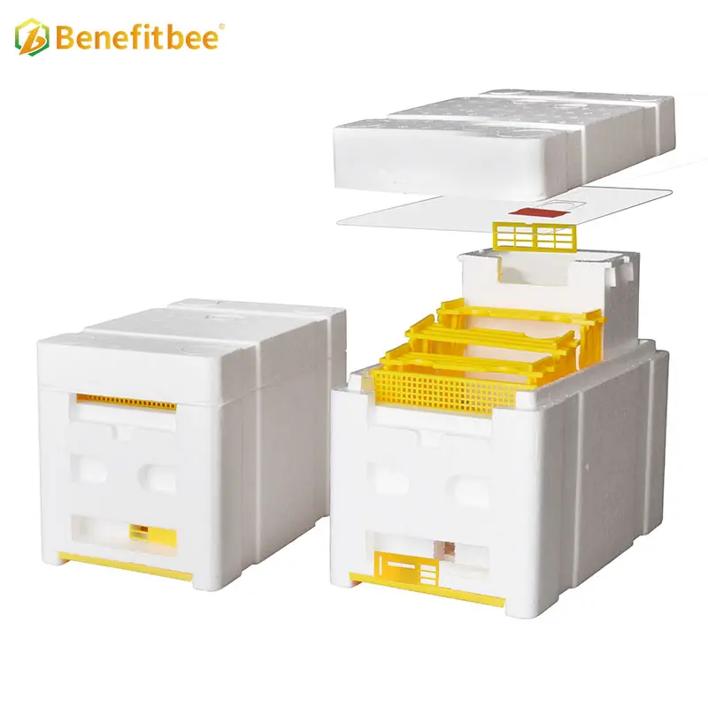 Scatola di accoppiamento per apicoltura nuc Box polistirene Bee Hive