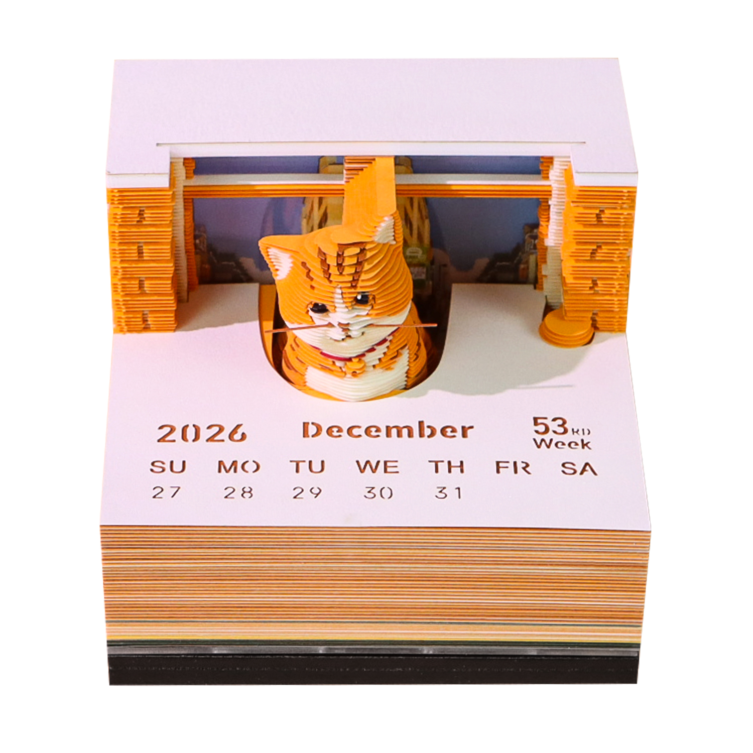 Chat orange