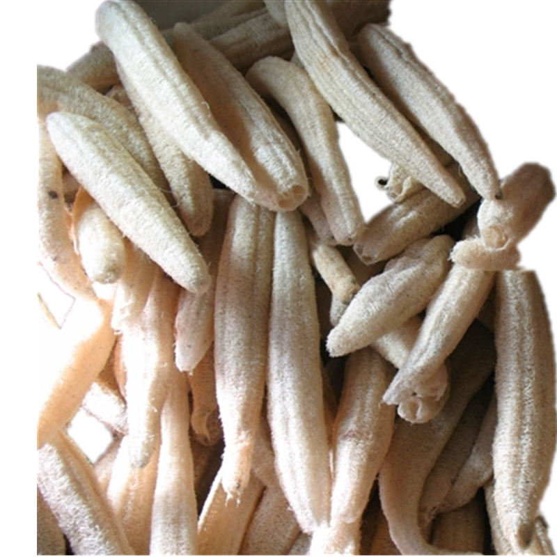 Natural colour 20-30cm