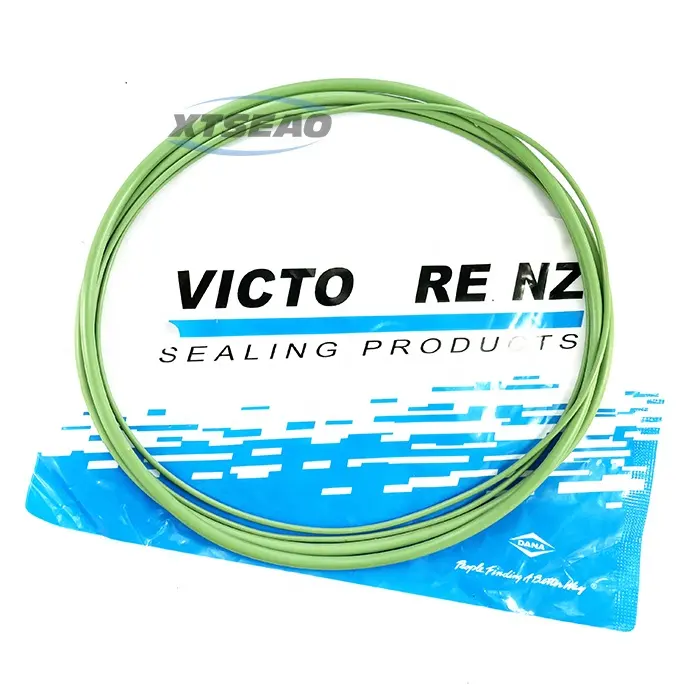 Xtseao Auto-Onderdelen Fabrikanten 15-76930-01 0159979148s3 Rubber O-Ring Set Cilindervoering