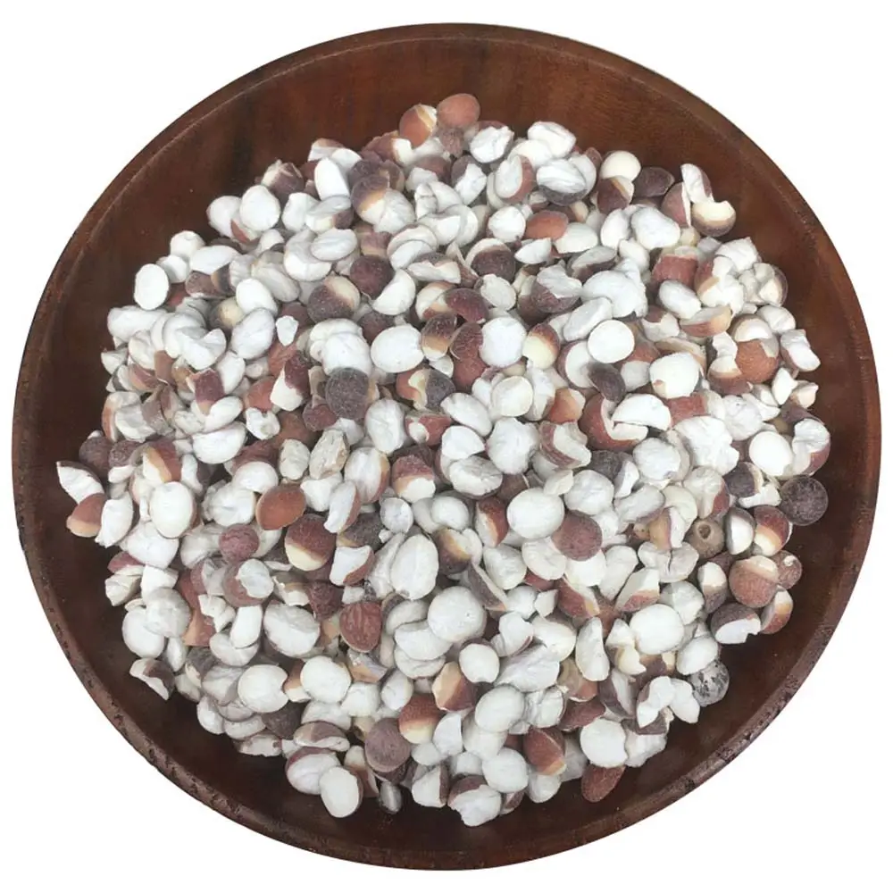 Qian Shi grosir obat Herbal tradisional alami sorgon buah longgar harga yang baik Semen alami Euryales