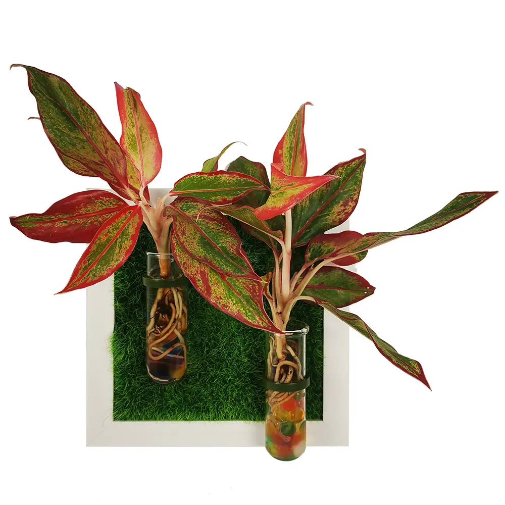 מיני starter ערכת הידרופוניקה מקורה עציץ עם צמח stand מבחן עציץ צינור עבור חובבי טבע