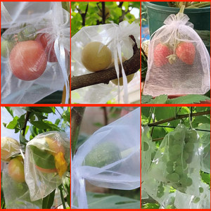 Bolsas de protección de frutas de gran oferta, bolsa verde de malla de protección de árboles frutales con cordón para plantas, frutas, flores y verduras - Product Image 2