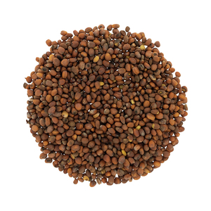Biologische Groothandel Van Hoge Kwaliteit Natuurlijke Radijs Zaad <span class=keywords><strong>Extract</strong></span> 10:1 Sperma Raphani <span class=keywords><strong>Extract</strong></span> Poeder - Product Image 3