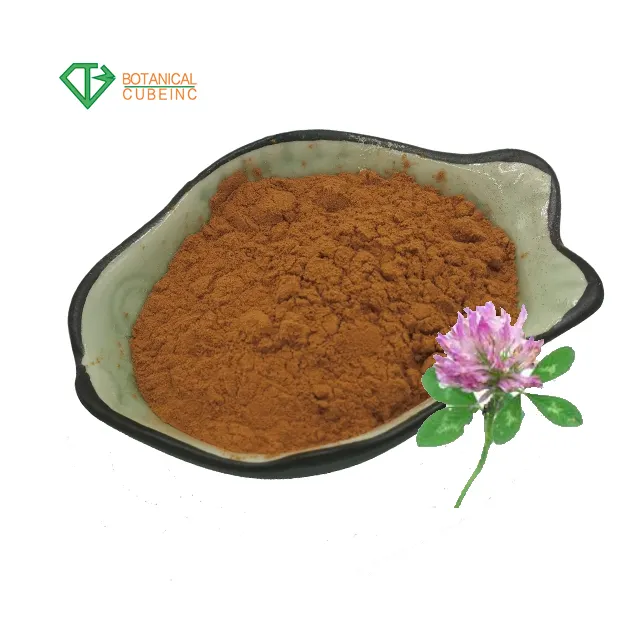 Trifolium Pratense Rotklee extrakt 30% 40% Isoflavone Pulver