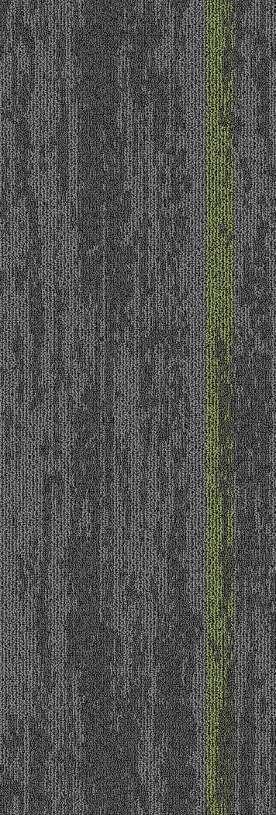 Grey13