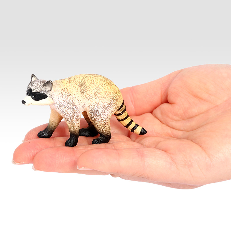 2661 mapache