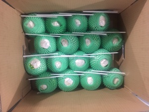 มะพร้าวสดใหม่ตลาดส่งออกญี่ปุ่นจากเวียดนามง่าย - Product Image 4