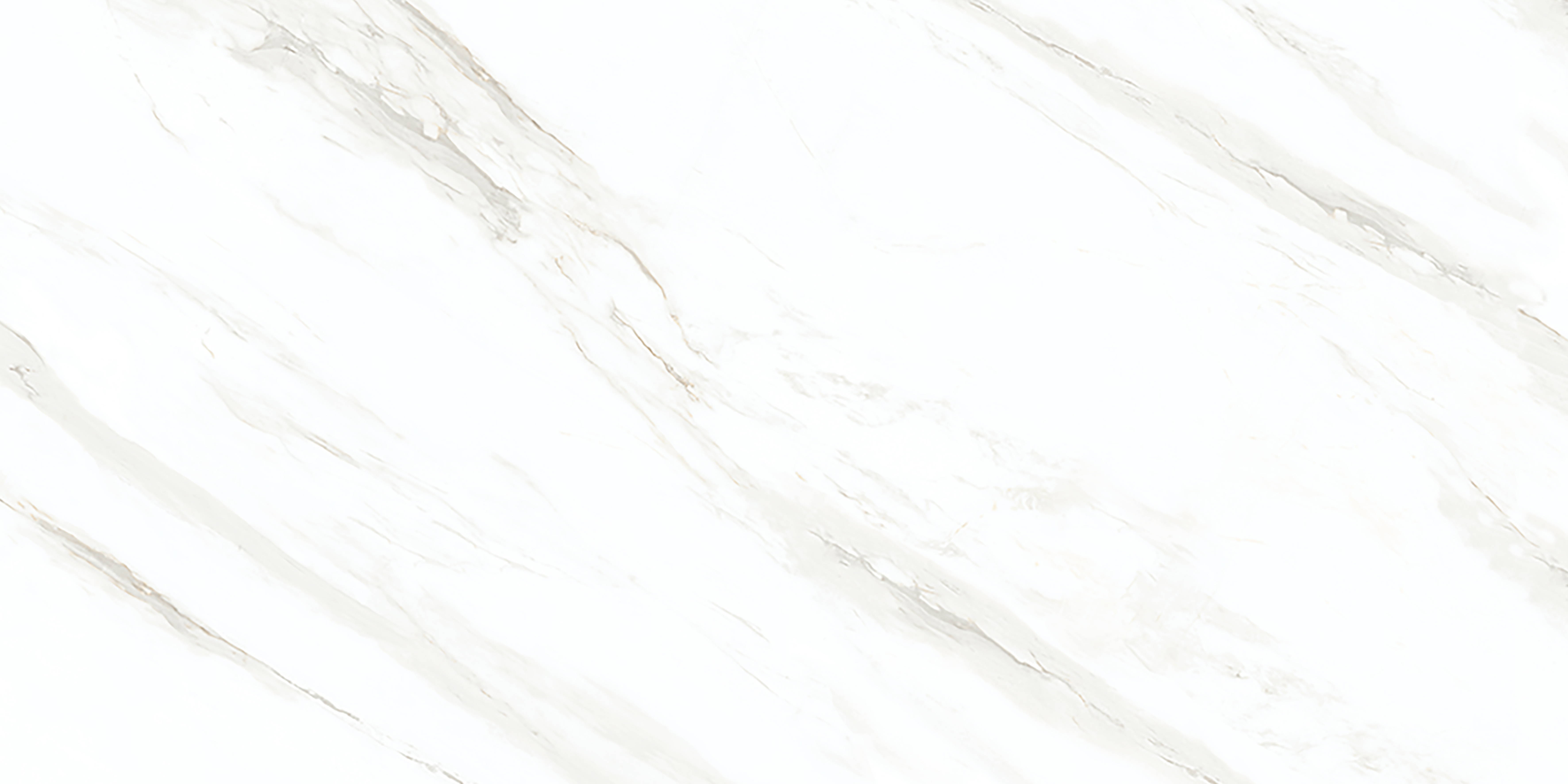 White 2