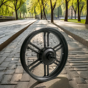 محرك دراجة كهربائي 20 بوصة مع محور أمامي 36 فولت من نوع W فرامل قرص تروس عريضة 20 بوصة إطار 48 فولت W محرك أمامي