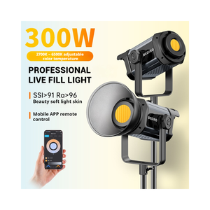 Luce di ripresa Video 300W per luce fotografica con telecomando per illuminazione a uscita continua per la fotografia di luce per lo Studio - Product Image 6