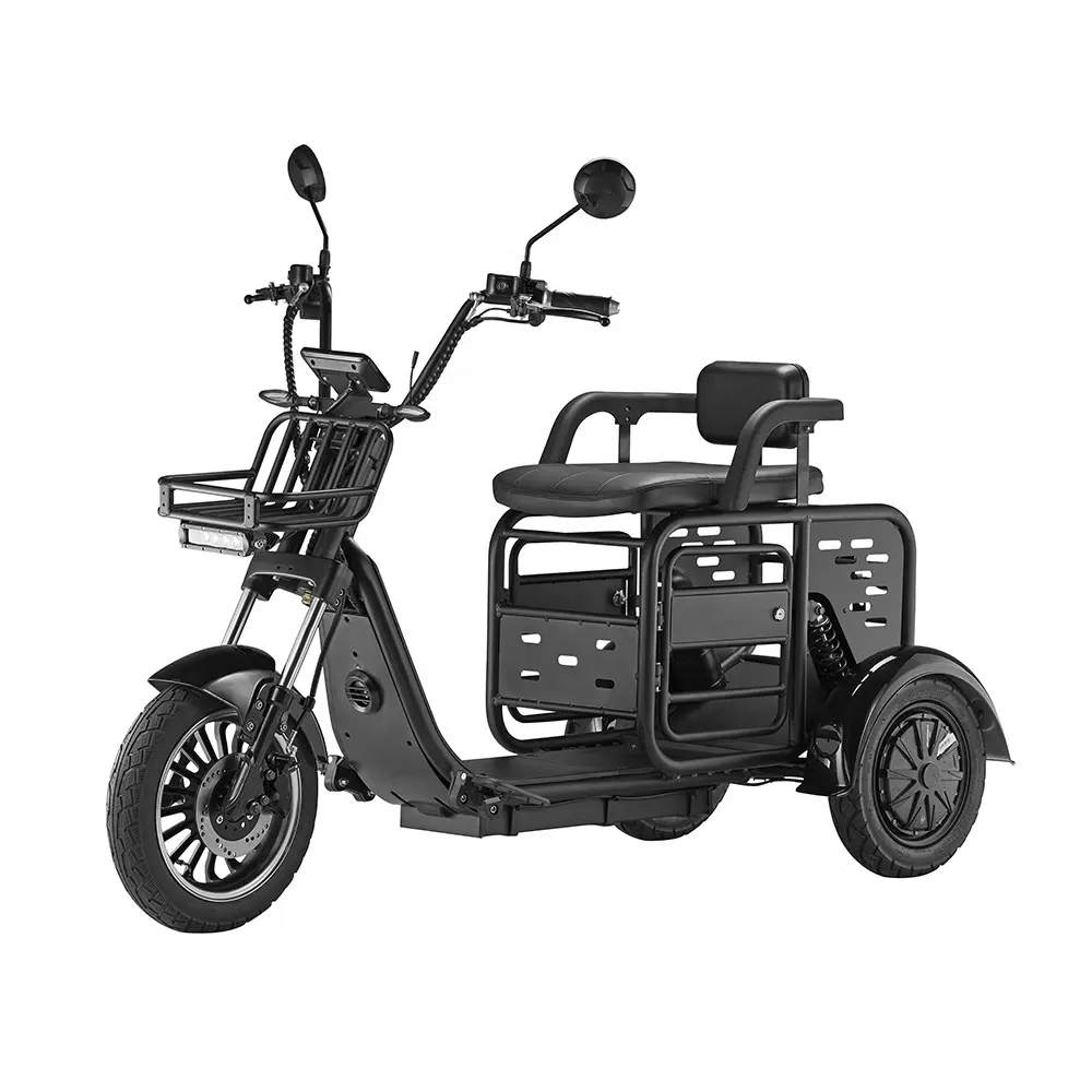Commercio all'ingrosso Multi-Mode famiglia Trike elettrico moto 3 ruote CE certificata Scooter elettrico