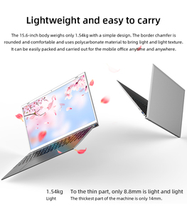 Mini ordenador portátil OEM/ODM, netbook, cuatro núcleos, 15,6 pulgadas, 1920x1080, IPS, Win 10, plateado, barato, para negocios, nueva fábrica