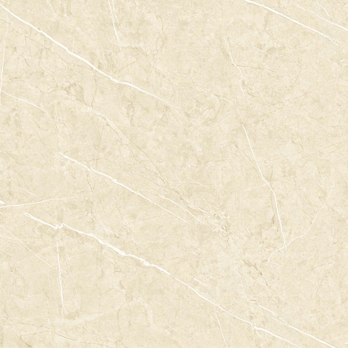 White6