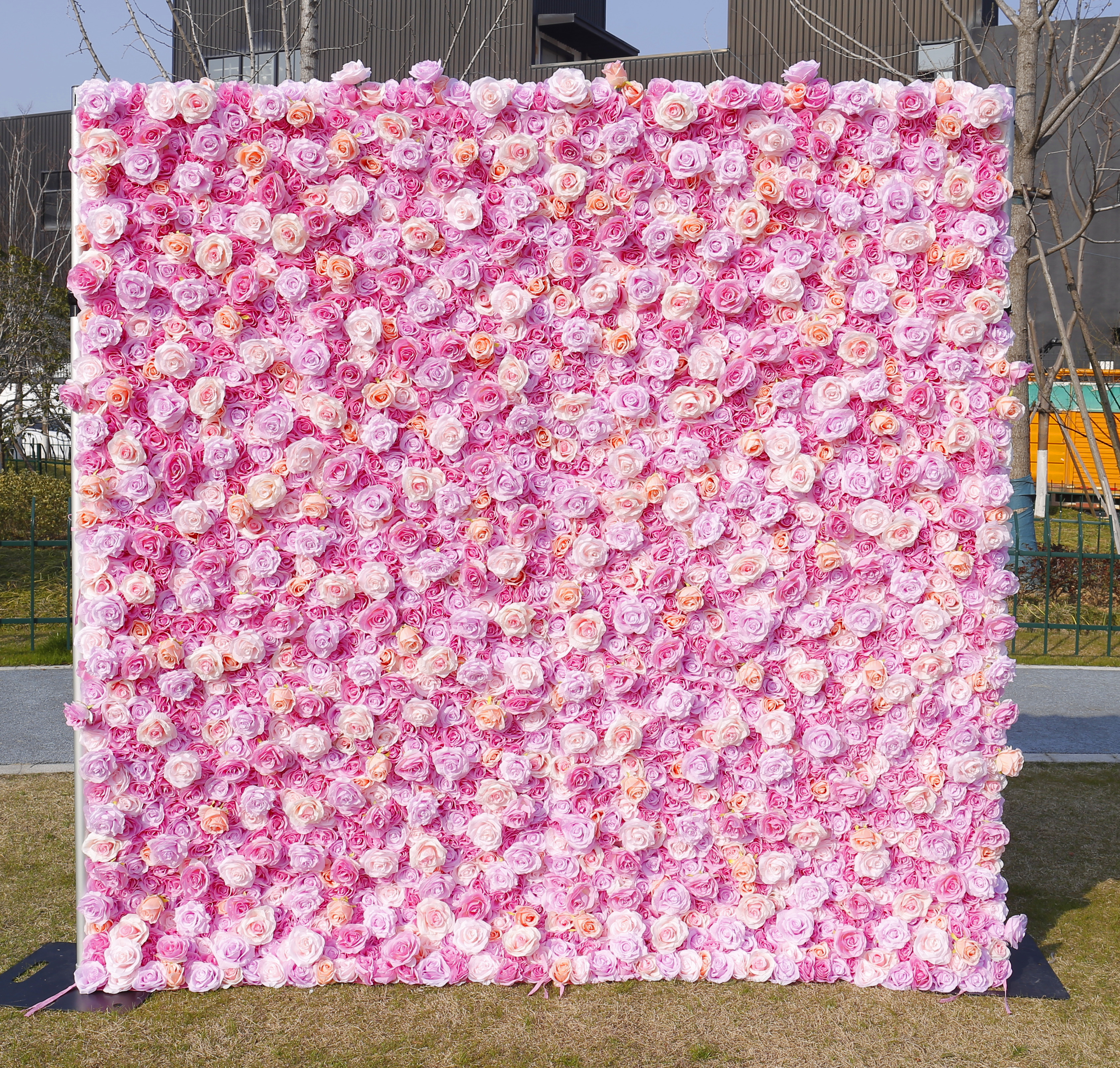 Rose-1