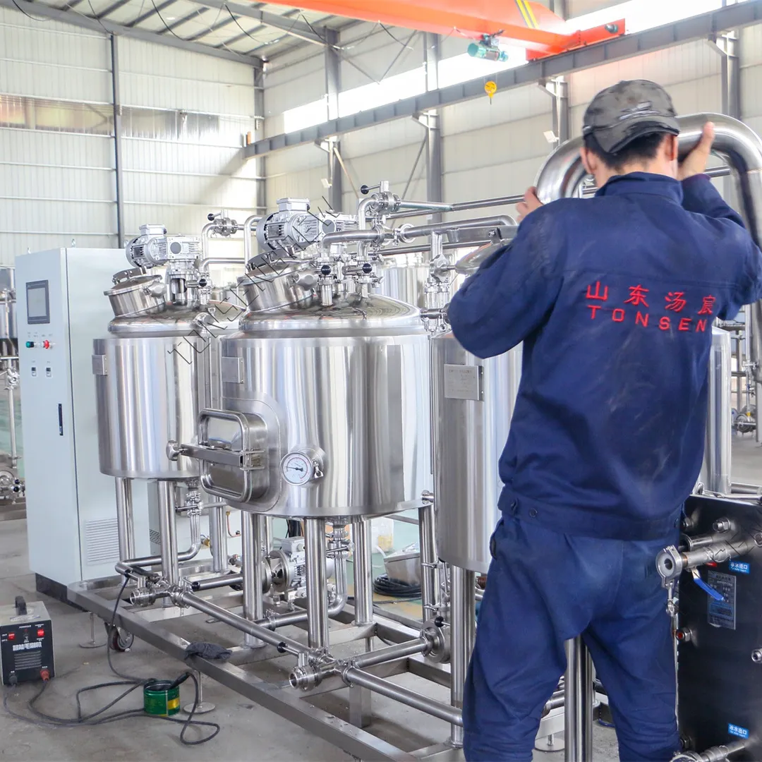Tonsen 100L brewery brewhouse system macchina per la fermentazione della birra