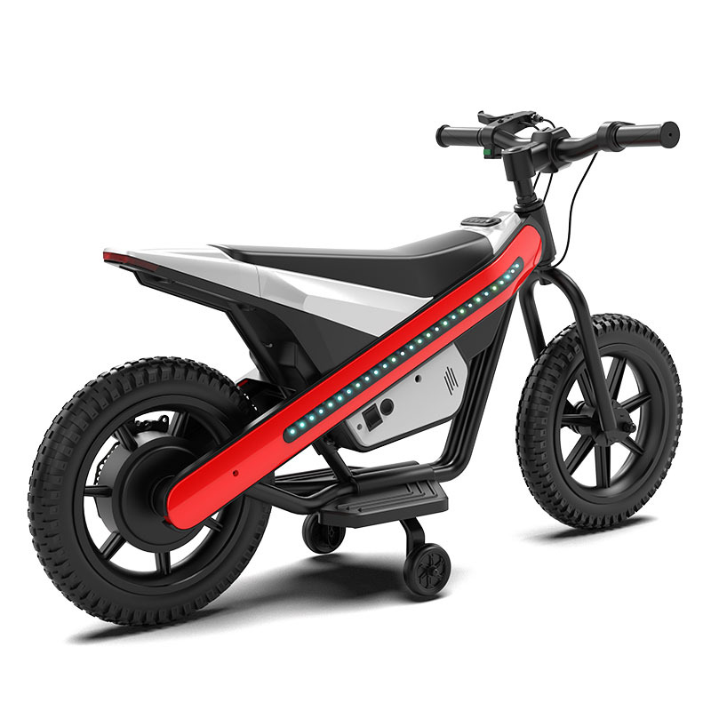 Red12V9AH*2
