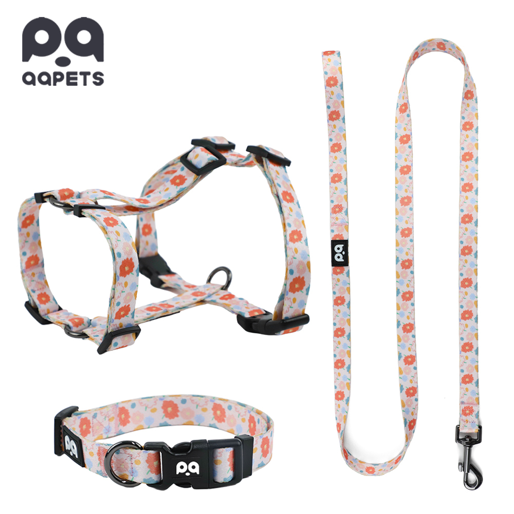 Yellow-harness+leash+collar