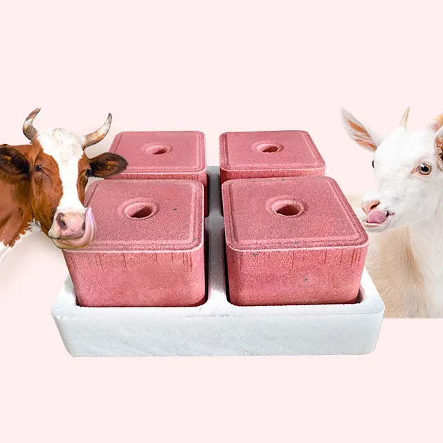 A mineral block rich in inorganic salts for cattle and sheep to lick