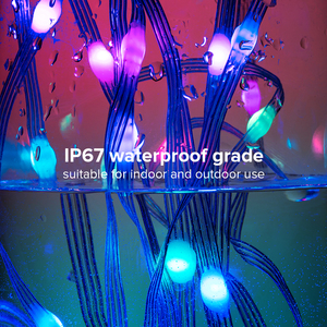 Luces navideñas de Color de ensueño, cadena de píxeles <span class=keywords><strong>Led</strong></span> WS2812B RGB, 10Led/m, 5m, 10m, impermeable, direccionable, DC5V - Product Image 2