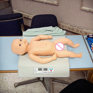 <strong>Computer</strong> Model of Infant Heart and Lung Auscultation Microcomputer Display Board - Product Image 2
