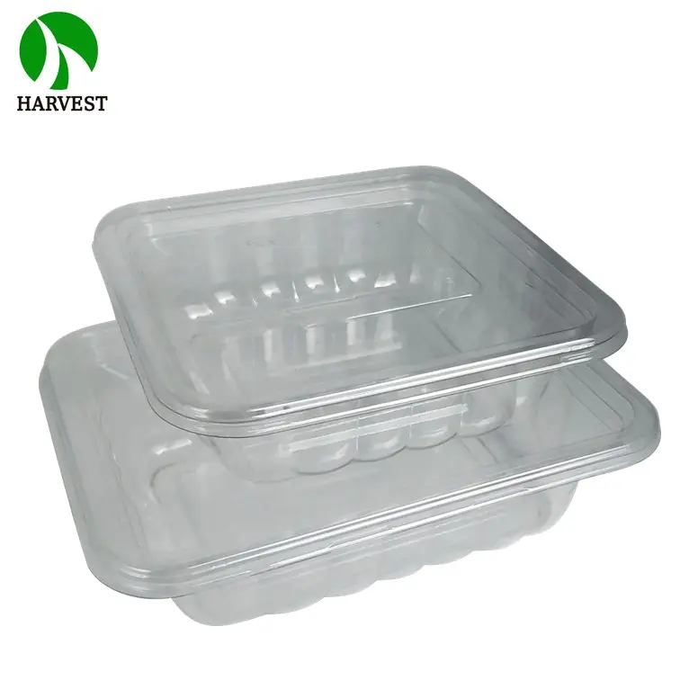 Disposable PET 16Oz 32Oz Plastic Food Packaging Bowl With Inserted Tray