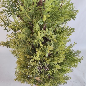 Artificial <strong>Cypress</strong> Tree Artificial Boxwood Grass Tall Cedar Tree Artificial <strong>Cypress</strong> Tree - Product Image 6