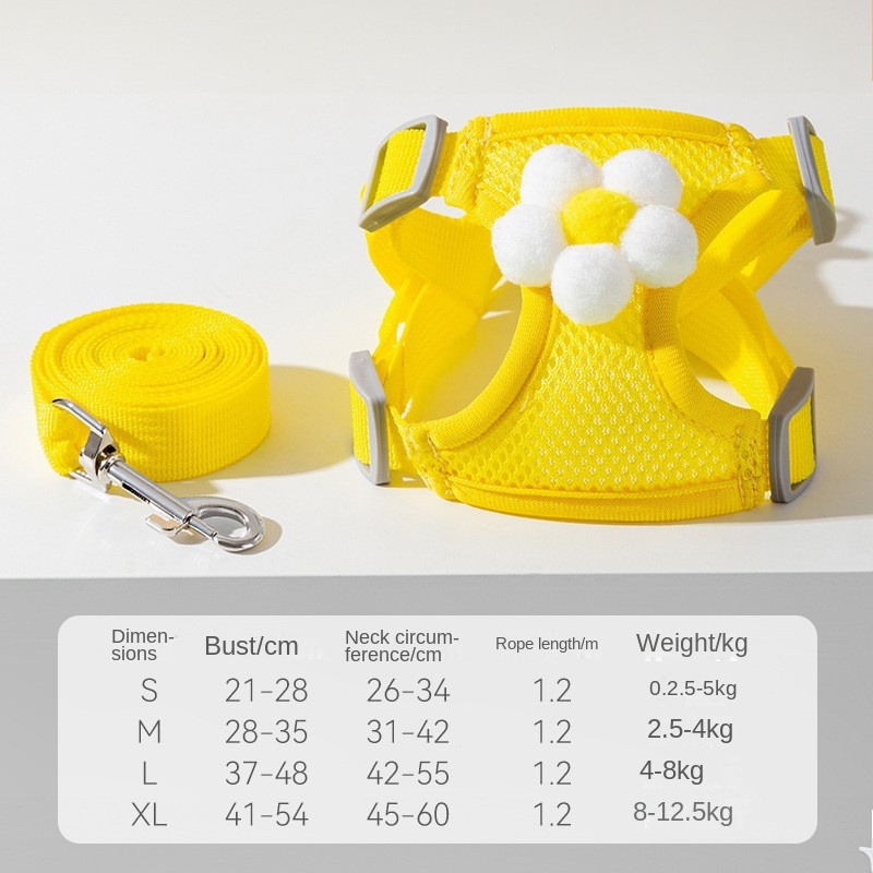 Maille de tournesol