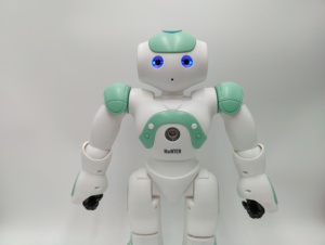 New Intelligent <strong>Programming</strong> Educational Rc Robot Toy for Kid <strong>Tech</strong> Sing Walk Interactive Function Usb Charging - Product Image 2