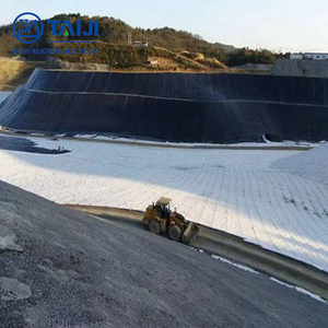 Fabrika fiyat su geçirmez malzeme 0.5Mm 0.75Mm 1.2Mm Hdpe levha geomembran su ürünleri yetiştiriciliği için - Product Image 4