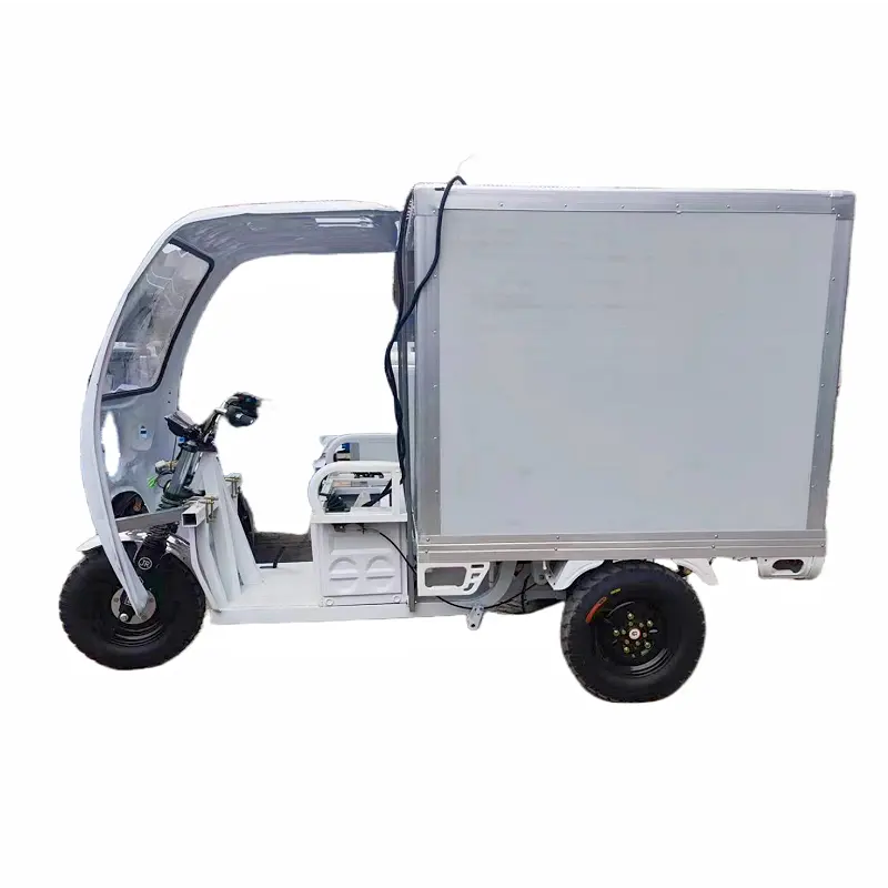 電動三輪車用貨物用EEC認定電動電動冷蔵トラックオープンボディタイプ