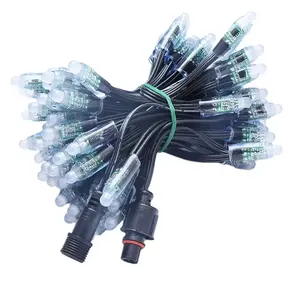 Luz <span class=keywords><strong>LED</strong></span> <span class=keywords><strong>Pixel</strong></span> <span class=keywords><strong>Ws2811</strong></span> 5v 12v Rgb Rgbw à Prova D'Água Luzes de Natal Inteligentes Módulo de Luz <span class=keywords><strong>LED</strong></span> - Product Image 1