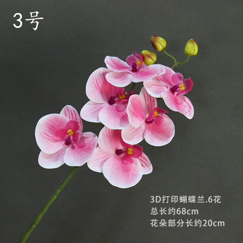 No. 3