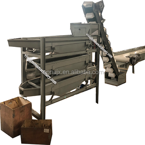 Máquina profesional de craqueo de nueces secas y separador de cáscara de núcleo/máquina descascaradora de nueces - Product Image 4
