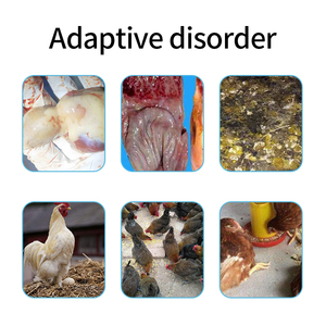 養鶏場に使用される良い効果鶏用飼料添加物飼料添加物 - Product Image 3
