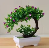 H-fuchsia
