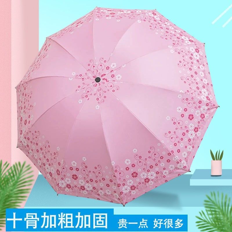 10+ Bones (Wisteria Pink) - Quality Choice